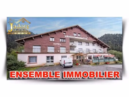 en vente immeuble de rapport 1 200 m² – 1 250 000 € |gérardmer