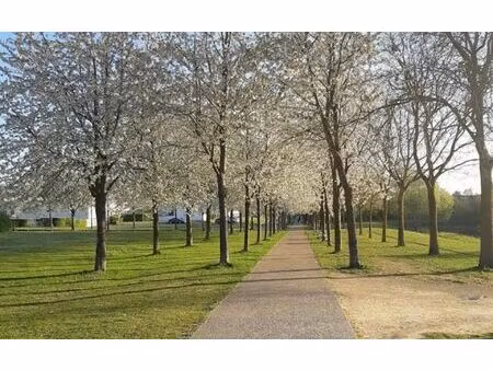 maison pont-de-metz 125 m² t-5 à vendre  499 500 €