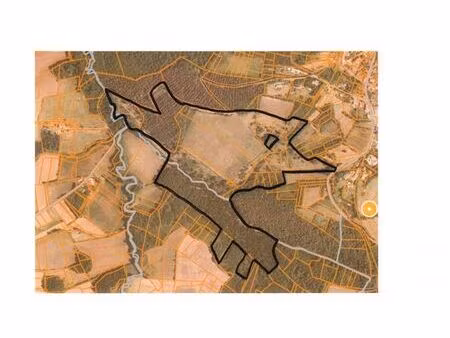 terrain à vendre - 260000 m2 - st michel - 31 - midi-pyrenees