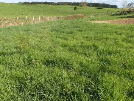 vente terrain 1200 m² à semur-en-auxois (21140)  30 000 €