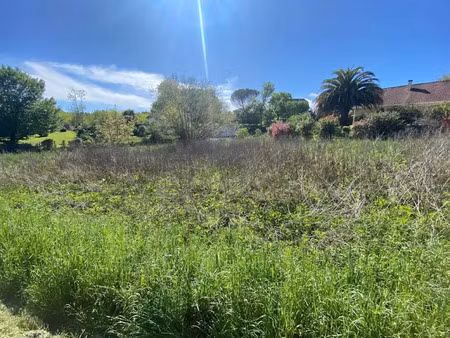 vente terrain à batir 1480 m² à orthez (64300)  39 000 €