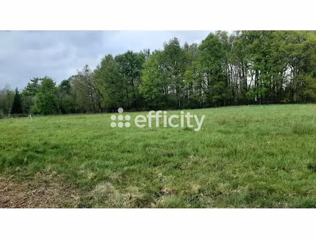 vente terrain 4578 m² à saint-auvent (87310)  50 600 €