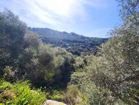vente terrain à sartene (20100)  189 000 €