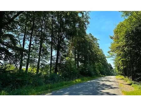 terrain à bâtir idéalement situé à nidrum-elsenborn