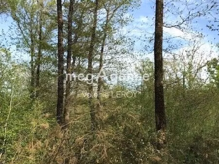 bois rare ! belle parcelle boisée de 3 45 hectares à aillas