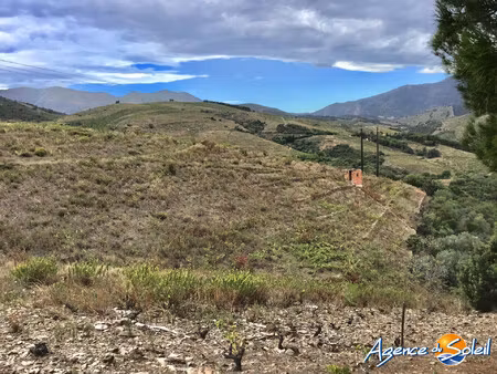 parcelles de terre en nature de vignes et bois