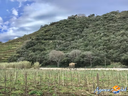 une jolie parcelle de 4000 m2   un terrain de loisir en friche
