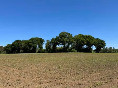 grond te koop in herenthout