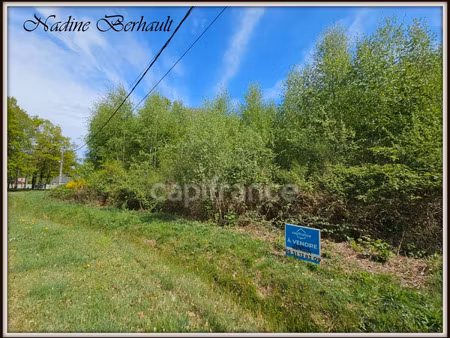 terrain à vendre ervauville 3921m2 38 500€