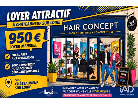 vente commerce 148 m² châteauneuf-sur-loire (45110)