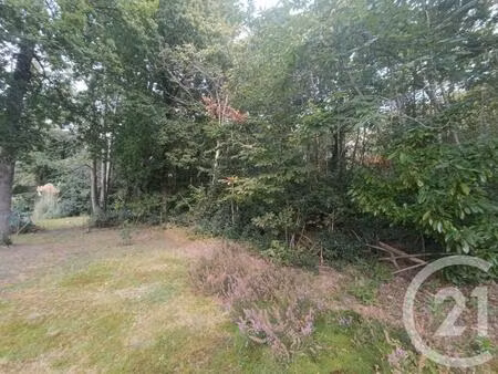 vente terrain 3189 m² grayan-et-l’hôpital (33590)