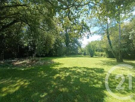 vente terrain 1384 m² saint-vivien-de-médoc (33590)