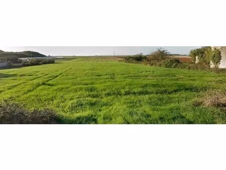 à vendre terrain constructible 2 parcelles montreuil (85200)