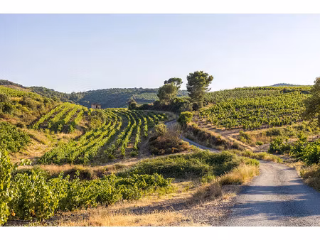 vente local industriel 250 m² saint-andré-de-sangonis (34725)