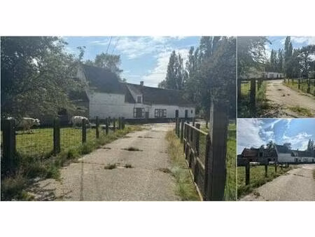 ferme à vendre à arendstraat 21 koolkerke (rbr56350)