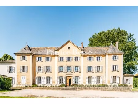 château à vendre à biziat