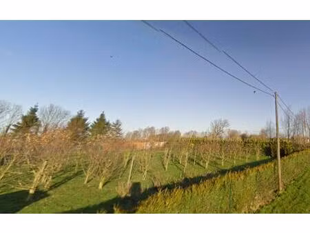 vente terrain 1925 m² la bassée (59480)