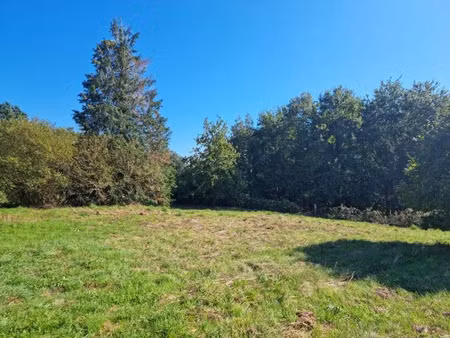 vente terrain 2020 m² à charras (16380)  20 500 €