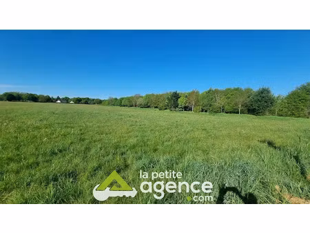 vente terrain 1350 m² à méreau (18120)  47 000 €