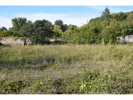 vente terrain 550 m² à maillane (13910)  220 000 €