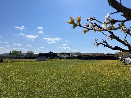 vente terrain 1887 m² à pernes-les-fontaines (84210)  257 000 €