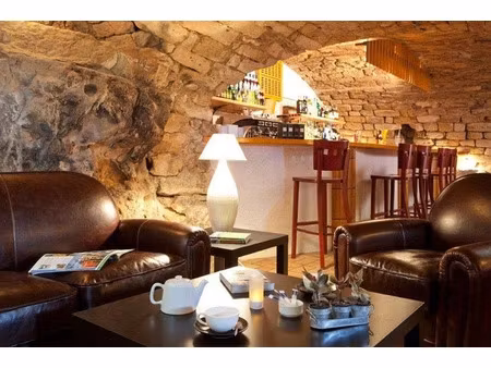 vente locaux professionnels 43 pièces 2500 m² à sanilhac (07110)  990 000 €