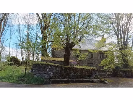 vente maison 8 pièces 280 m² saint-vincent-de-salers (15380)