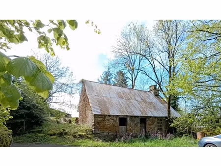 vente maison 3 pièces 100 m² à saint-vincent-de-salers (15380)  77 300 €