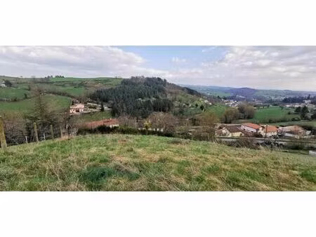 vente terrain 1000 m² saint-galmier (42330)