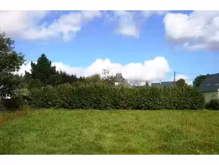 terrain constructible