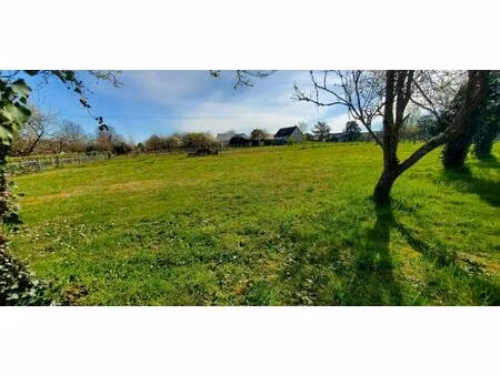 vente terrain 1229 m² civray-de-touraine (37150)