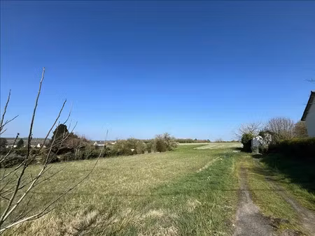 vente terrain 5977 m² ligueil (37240)