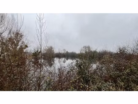 vente terrain 17737 m² noyers-sur-cher (41140)
