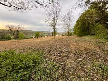 vente terrain 5260 m² vicq-sur-nahon (36600)