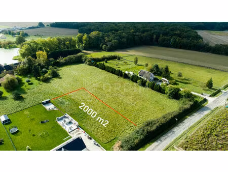 vente terrain 2087 m² les ormes (89110)