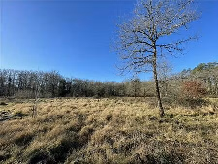 vente terrain 11041 m² la ferté-imbault (41300)