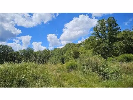 vente terrain 15293 m² orçay (41300)