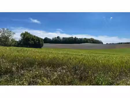 grand terrain