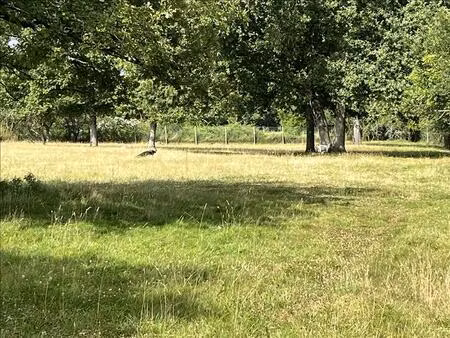 vente terrain 1592 m² choussy (41700)