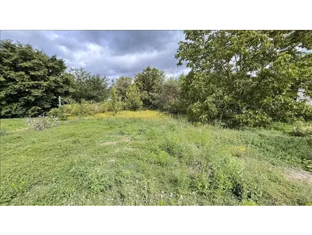 vente terrain 2163 m² saint-aignan (41110)