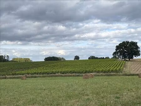 vente terrain 3475 m² saint-julien-de-chédon (41400)