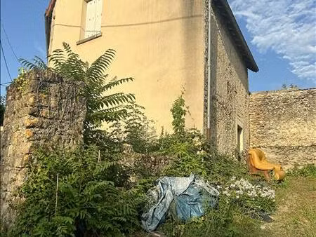 vente maison le menoux (36200)