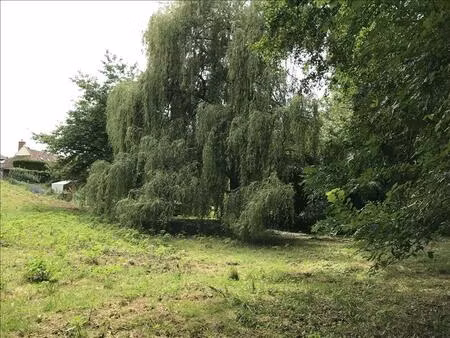 vente terrain 3000 m² orbigny (37460)