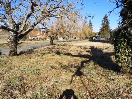 vente terrain 765 m² noyers-sur-cher (41140)