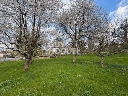 terrain constructible burgille