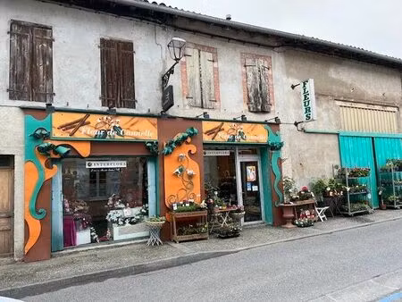 vente commerce 250 m² carbonne (31390)