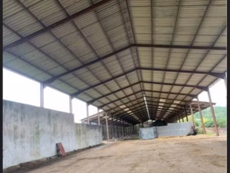 local professionnel à vendre villeneuve les genets 4300m2 157 500€