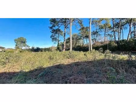 terrain chiberta - anglet (64)