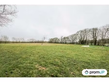 vente terrain 2000 m² chailloué (61500)