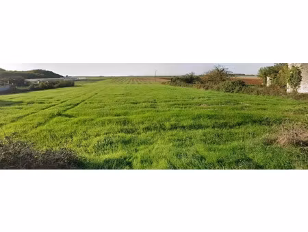 vente terrain 3243 m² à montreuil (85200)  69 990 €